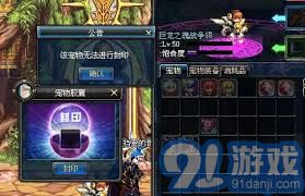 地下城与勇士DNF宠物封印胶囊详细使用指南与技巧分享