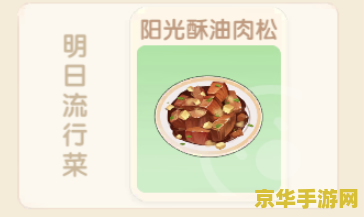 摩尔庄园阳光酥油肉松的制作方法详解，如何在家轻松做出美味的阳光酥油肉松