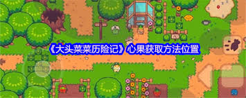 大头菜的冒险之旅：寻找中心果的神秘位置在哪里？