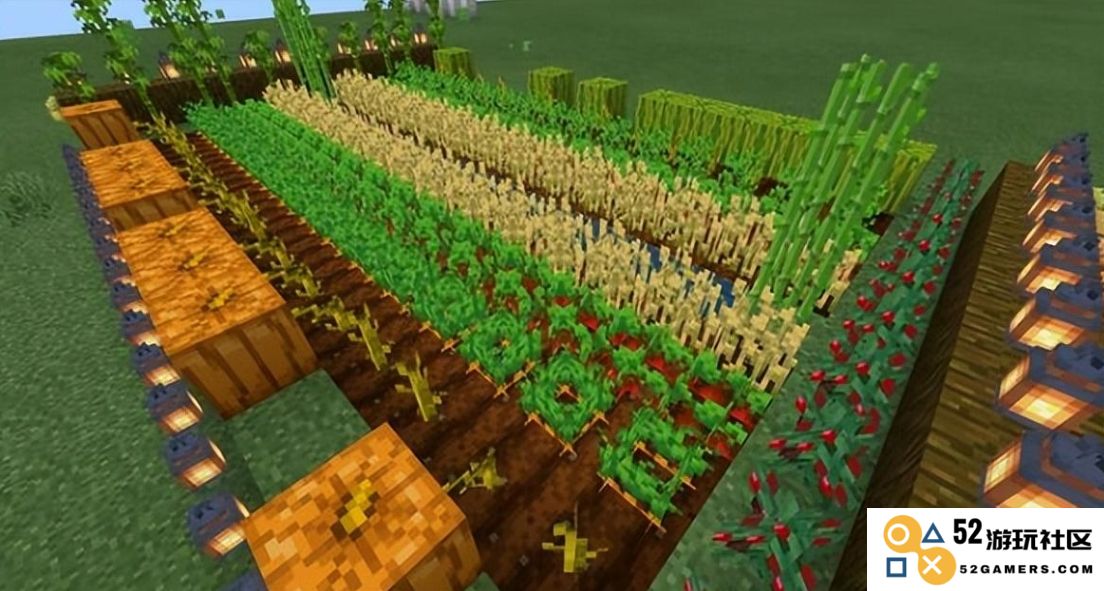 我的世界怎么种植农作物
