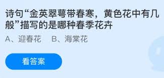 探寻春日百花盛放：揭示“金英翠萼带春寒”中的黄色花朵背后的意蕴与魅力