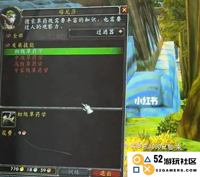 WOW不仅仅是游戏中的一个角色，更是开始无尽冒险旅程的起点