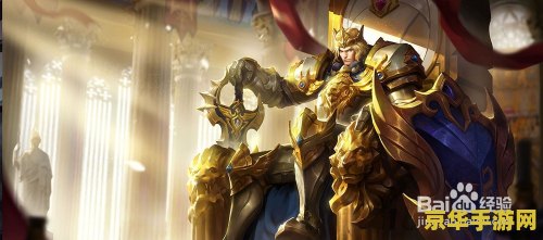 圣骑士的光芒 圣骑士的光芒：荣耀与信仰的征途