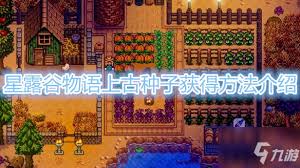 星露谷物语中的古老种子获取方法与技巧解析