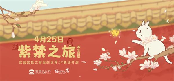 猫咪和汤官方网站入口地址分享-哪里可以找到猫咪和汤的官网入口？