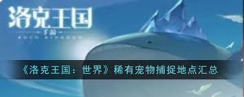 如何在洛克王国中找到世界上稀有的宠物以及它们的具体位置和获取方法