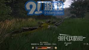 天国拯救2最新秘籍大全曝光：全面掌握控制台代码，快速提升游戏体验