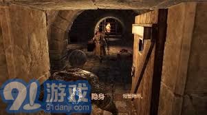 深入揭秘盗贼职业鲜为人知的神秘领域及其迷人特点