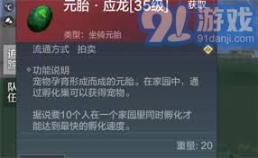 深入掌握妄想山海中应龙捕捉与获取的高效策略全面指南
