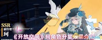 开放空间中兔子升星后经历了哪些显著变化与发展
