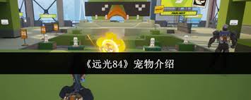 远光84系列宠物的种类与特点有哪些？如何选择适合自己的宠物品种？