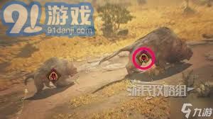 怪物猎人：全面解析荒野金冠获取技巧与方法详解
