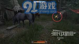 天国拯救2新手指南：高效提升游戏技巧与策略全面解析