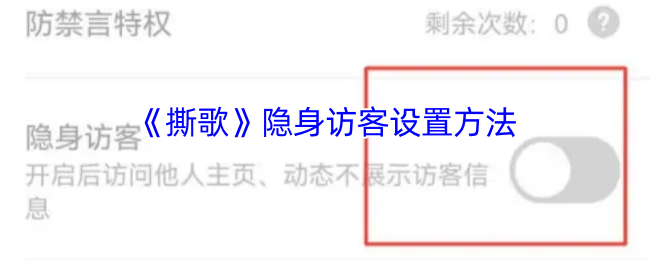 如何设置《撕歌》的隐身访客功能，保护你的隐私