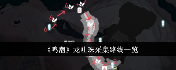 鸣潮龙吐珠采集路线全解析