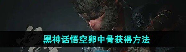 如何轻松获取《黑神话悟空》中的卵中骨