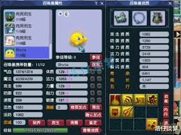 梦幻西游109卡速方寸适合搭配哪些装备才能提升战斗力