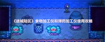 迷城陆区食物加工仪的使用方法详解，以及使用技巧与注意事项