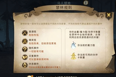 哈利波特魔法觉醒禁林探险路线选择攻略详解，助你轻松应对各种挑战