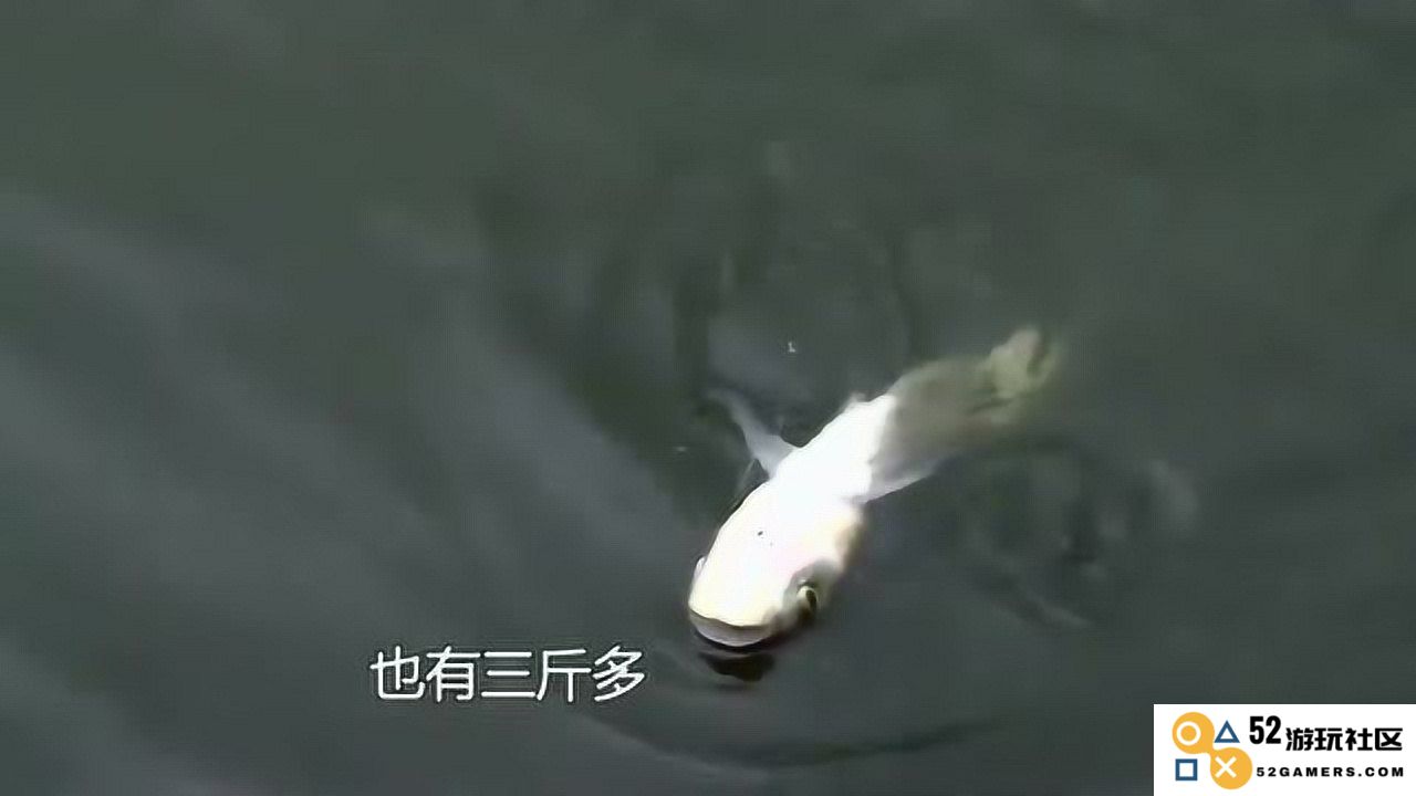 在原神游戏中钓到的鱼是否可以进行交易或出售呢？