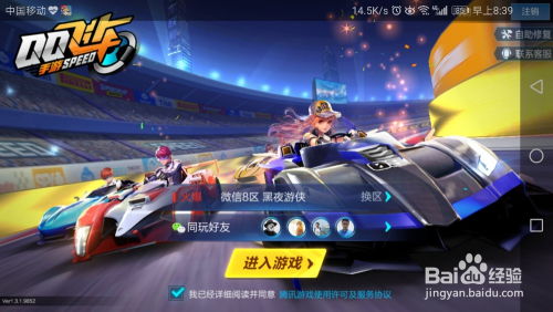 2024年QQ飞车风之利刃全解析，让你战无不胜