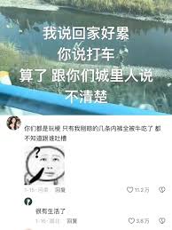 算了，跟你们城里人解释不清楚这个梗的真正含义是什么了