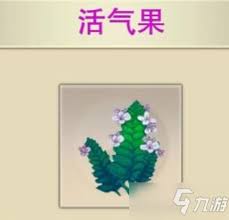 想知道修真活气果在哪个地图产出最多，哪个地方最值得去探寻