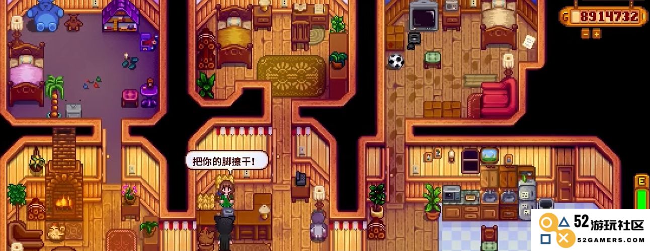 星露谷物语最稀有的物品有哪些