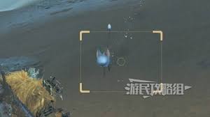 如何在怪物猎人荒野中成功捕捉金龟子的一些实用技巧与策略总结