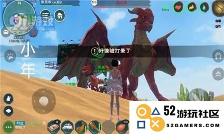 掌握创造与魔法：飞龙击晕技巧与炸弹果迷之墨汁获取秘籍