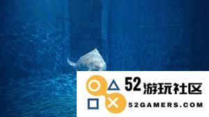 有哪些海洋生物必须定期浮出水面以获取氧气和维持生命活动