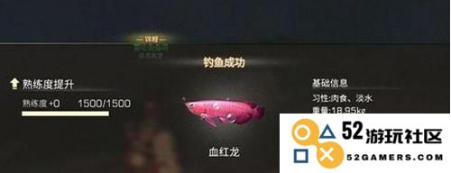 明日之后血红龙获取与使用详解