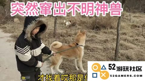 原神中的流血狗实在让人感到非常恶心与不适，真是让人难以忍受