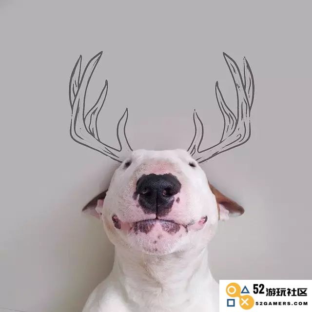 原神流血狗太恶心了