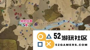 怪物猎人荒野中稀有环境生物的位置及获取方法详解