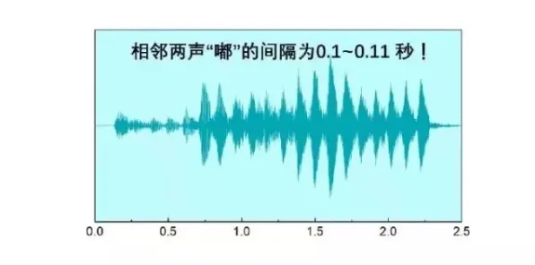 →突发！跳一跳高分技巧实测攻略（v0425版）手残党也能逆袭的隐藏技巧大公开！