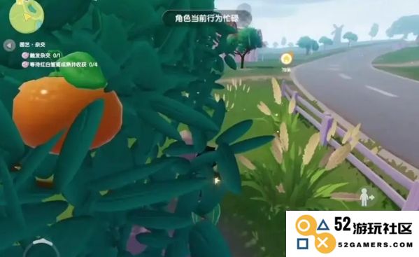 在心动小镇中如何高效采集美味果子以及相关技巧分享