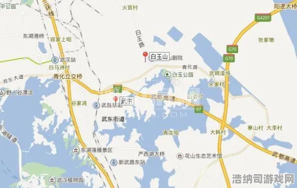 最新｜秘技 咸鱼之王隐藏关卡全新爆发｜2025年04月超详细攻略，99%玩家仍然未知的通关绝技！