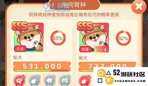 家居改造王：如何培养你的狗狗成为家居助手