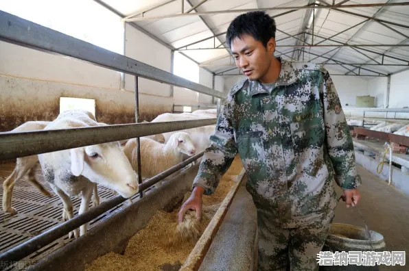 紧急提醒｜新手小伙伴必看 羊了个羊隐藏关卡 全网首发攻略，2025年04月最新更新，99%玩家未曾发现的彩蛋地图详解！