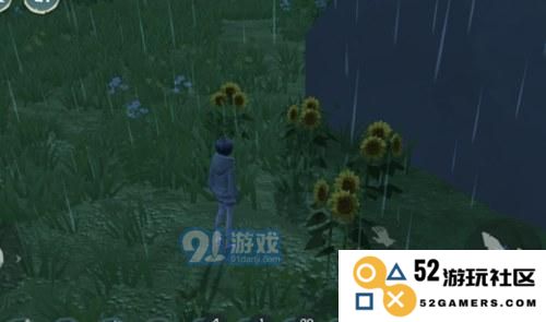 向日葵的魅力：创造与魔法的秘密武器