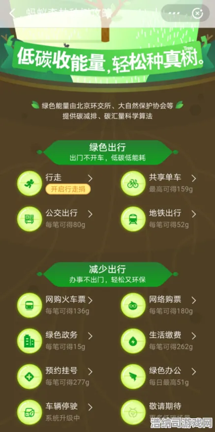 ｜实战｜秘笈 蚂蚁森林高效成长 极速攻略｜2025年04月全方位解析