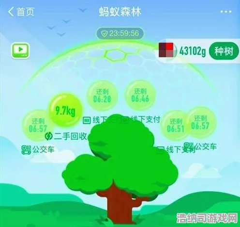 ｜实测｜技巧 蚂蚁森林快速养成 爆款｜2025年04月攻略