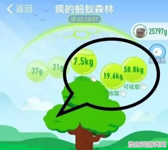 ｜实测｜技巧 蚂蚁森林快速养成 爆款｜2025年04月攻略