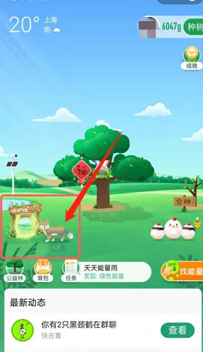 最新电竞赛事速递！微信小游戏隐藏攻略大公开 蚂蚁森林能量保护终极指南｜玩家必看干货