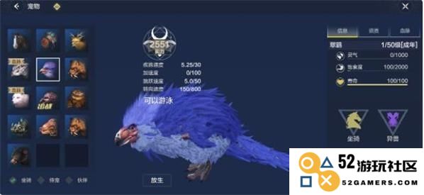 探讨《妄想山海》中翠鹞的优缺点