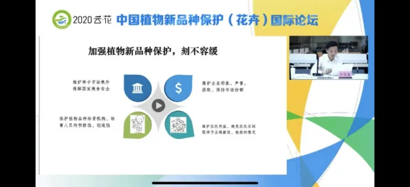 ‖实测｜攻略 庄园小鸡能量保护 星推｜2025年04月攻略｜动物庄园高阶玩家必看！小鸡能量保护机制全解析+实测数据大公开