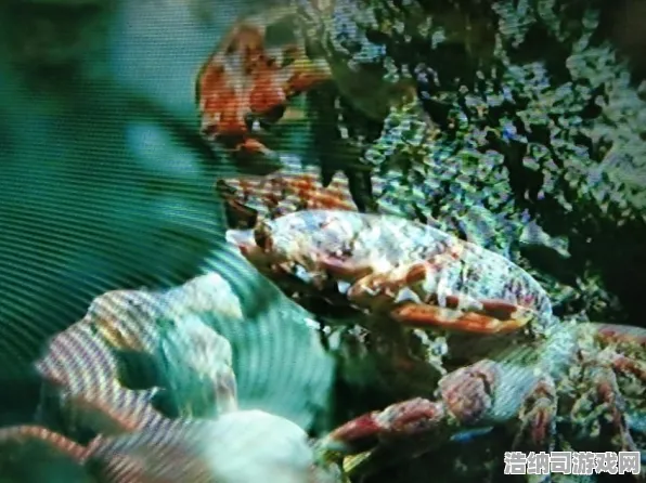 实测分享！全新手游玩法大揭秘，登录即送丰厚福利，蚂蚁森林道具兑换完全指南｜玩家必读避坑攻略