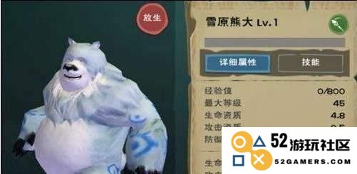 雪原熊饲料制作详解：热爱与技巧并存