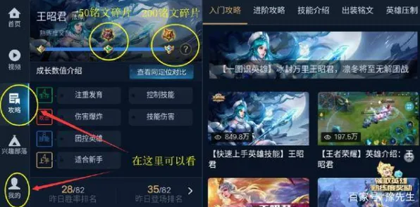 王者荣耀分路策略解读 2025｜新手必读 首次曝光｜v0425｜从青铜到王者的成长秘籍，五大分路制胜法则详解！
